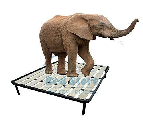 Bed Store SISTEMI RIPOSO Rete A Tavole Matrimoniale 160X195 Ortopedica Rinforzata 5 Piedi