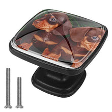 Abete di natale del cane Pomelli per Porta Set di 4 Pomelli per Mobili Manopole per Cassetti Cucina Armadio Vetro