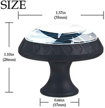 Squalo di pesce di mare Pomelli per Porta Set di 4 Pomelli per Mobili Manopole per Cassetti Cucina Armadio Vetro