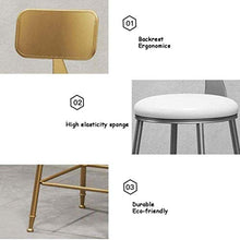 LWW Sgabelli, cucina presiede i piedini in metallo con schienale Design per colazione e Simple Home sedia moderna Ferro pranzo Oro Leg Nordic vento adattamenti per i calessi per interni,Rosa