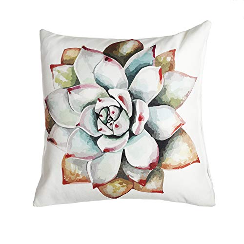 FAB HAB Cuscino Decorativo Grande, 51 cm x 51 cm, Interno o Esterno, Cuscino e Copertura - Succulent, Multi-Color Green