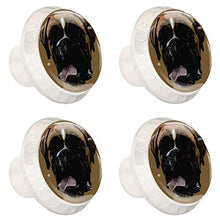 Faccia di cane animale 4 PCS Pomelli per Porta, Pomolo per Mobile, Pomelli per Mobili con Viti, Maniglia per Armadietto, Pomelli per Porta, Pomelli per Cassetti per Porta, Armadio, Cassetto e Credenza