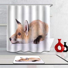 LIYAN Combinazione Bagno. Immagini Chiare E Colori Vivaci Rendono Il Tuo Bagno Pieno di Vita. Accessori da Bagno. La Volpe A Riposo.