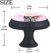 Bel signor gatto con abito nero cappello a cilindro rosso rosa Pomelli per Porta Set di 4 Pomelli per Mobili Manopole per Cassetti Cucina Armadio Vetro