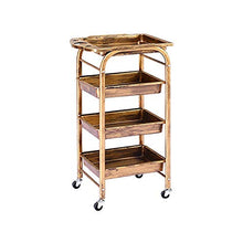 YIN YIN Carrello per Ripiani Cucina Rack Classic Ruota Mobile Multifunzione in Metallo Scaffale Soggiorno Camera da Letto 35X30X80cm Carrello a rulli (Color : Gold)