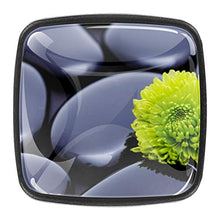 Ston Zen - Confezione da 4 pomelli con viti per armadietti da cucina, cassettiera, cassettiera, cassettiera, cassettiera, armadietti, comodini, libreria, libreria, 4 pezzi