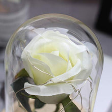 QYMX Eternal Flower ， Romanticismo Eternal Life Fiore Copertura di Vetro Rosa in Una boccetta Lampada Regalo di Natale Regalo di Compleanno Regali di San Valentino Decor