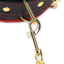 Collar Leather Kit System con HandCüffš e clip Nìpplé