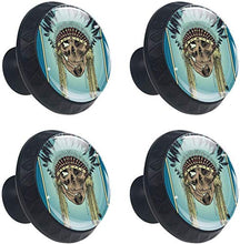 Cranio in piume indiane Pomelli per Porta Set di 4 Pomelli per Mobili Manopole per Cassetti Cucina Armadio Vetro
