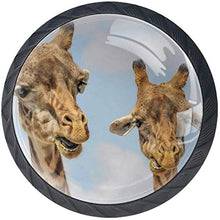 Giraffe Due teste divertenti Pomelli per Porta Set di 4 Pomelli per Mobili Manopole per Cassetti Cucina Armadio Vetro