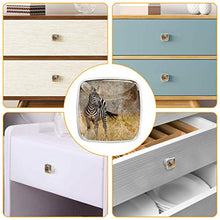 Zebra retrò 4 PCS Pomelli per Porta, Pomolo per Mobile, Pomelli per Mobili con Viti, Maniglia per Armadietto, Pomelli per Porta, Pomelli per Cassetti per Porta, Armadio, Cassetto e Credenza