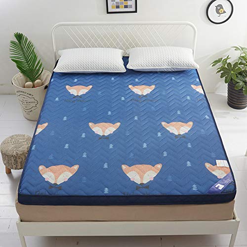Nileco Addensare Materasso Trapuntato, Morbido Tatami Tappetino Tradizionale Giapponese Bed Roll Dormitorio per Studenti Home Floor Traspirabilità Materasso Futon-a 100x200cm(39x79inch)