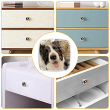 Border collie (2) 4 PCS Pomelli per Porta, Pomolo per Mobile, Pomelli per Mobili con Viti, Maniglia per Armadietto, Pomelli per Porta, Pomelli per Cassetti per Porta, Armadio, Cassetto e Credenza