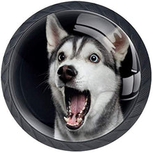 Amazing Dog Shock Black Pomelli per Porta Set di 4 Pomelli per Mobili Manopole per Cassetti Cucina Armadio Vetro