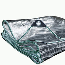 Telo trasparente Copertura vegetale trasparente telo di plastica PVC telone impermeabile con perforazioni, parapioggia for la copertura di fiori e piante balcone, 420g / mq (Size : 2 * 2m)