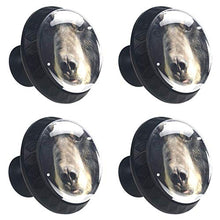 Brutalità dell'orso 4 PCS Pomelli per Porta, Pomolo per Mobile, Pomelli per Mobili con Viti, Maniglia per Armadietto, Pomelli per Porta, Pomelli per Cassetti per Porta, Armadio, Cassetto e Credenza