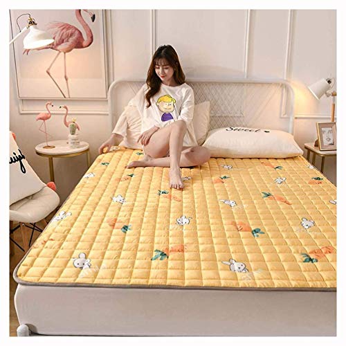 Materasso Giapponese Pieghevole Materasso Futon, Materasso in Velluto Tatami Materasso Per Dormire Materasso Per Dormitorio Per Ragazze,E-120 * 200cm