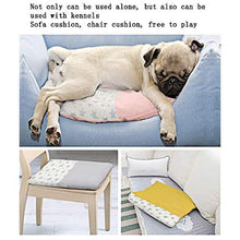 YBQ Moda Pad di Raffreddamento Pet Pentagramma Pad Cool Pad Antiaderente Coperta di Stampa Stagione può Lavare Senza Deformazione E Facile da Maneggiare Pet Universale, Grigio .Facile da Pulire