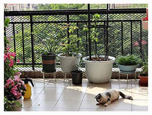 Rete da Recinzione per Balcone per Animali Domestici,Proteggi Le Piante E Le Reti di Erosione del Suolo Rete per Protezione Animali da Giardino Rete per Pollame In Filo Metallico di Plastica