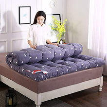Materassi Tatami, Materasso futon Pieghevole in Peluche Corto Traspirante, Tappetino per dormitorio per Studenti per Famiglie,E,180 * 200cm/71 * 79inch
