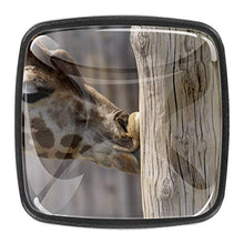 giraffa 4 PCS Pomelli per Porta, Pomolo per Mobile, Pomelli per Mobili con Viti, Maniglia per Armadietto, Pomelli per Porta, Pomelli per Cassetti per Porta, Armadio, Cassetto e Credenza