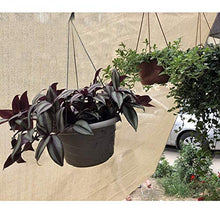 Tenda da Sole Tendalino Tendalino Vele Ombreggiatura Panno Protezione Solare Protezione Anti-UV Isolamento Termico Patio Esterno Balcone Fiori Copertura del Giardino Raffreddamento Piscina M