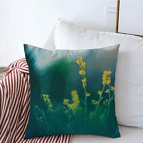 Il cuscino decorativo del tiro copre la stagione della pianta dei bei fiori gialli del prato sulla primavera naturale dei parchi dell'erba di giardinaggio della natura all'aperto copricuscini