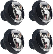 Amazing Dog Shock Black Pomelli per Porta Set di 4 Pomelli per Mobili Manopole per Cassetti Cucina Armadio Vetro