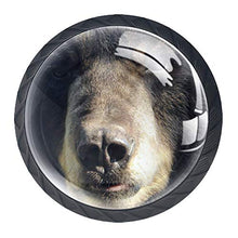 Brutalità dell'orso 4 PCS Pomelli per Porta, Pomolo per Mobile, Pomelli per Mobili con Viti, Maniglia per Armadietto, Pomelli per Porta, Pomelli per Cassetti per Porta, Armadio, Cassetto e Credenza