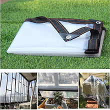 Telone Trasparente Impermeabile Teloni Antistrappo Cappa per Barbecue Auto Camion Schermo da Giardino Copertura per Piscina Balcone Tenda Campeggio di Plastica Rinforzo Occhiello (6x8m/19.7x26ft)
