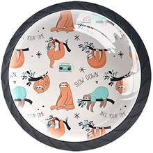 Bradipi divertenti Pomelli per Porta Set di 4 Pomelli per Mobili Manopole per Cassetti Cucina Armadio Vetro
