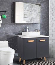 eSituro Armadietto Sottolavabo da Bagno da Cucina Mobile a Terra con 2 Porte in Legno MDF Grigio Mobiletto Sotto Il Lavello SBP0060