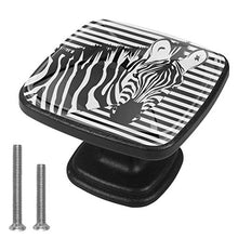 Motivo zebrato animale 4 PCS Pomelli per Porta, Pomolo per Mobile, Pomelli per Mobili con Viti, Maniglia per Armadietto, Pomelli per Porta, Pomelli per Cassetti per Porta, Armadio, Cassetto e Credenza