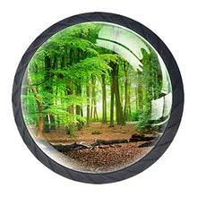 Foresta verde 4 PCS Pomelli per Porta, Pomolo per Mobile, Pomelli per Mobili con Viti, Maniglia per Armadietto, Pomelli per Porta, Pomelli per Cassetti per Porta, Armadio, Cassetto e Credenza