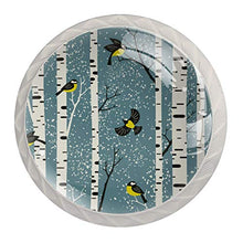 Uccelli invernali 4 PCS Pomelli per Porta, Pomolo per Mobile, Pomelli per Mobili con Viti, Maniglia per Armadietto, Pomelli per Porta, Pomelli per Cassetti per Porta, Armadio, Cassetto e Credenza