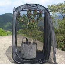 Insect Habitat Gabbia Insetti Caterpillar Casa netto insetto gabbia della maglia del terrario per flusso d'aria Pop Up Kit insetto