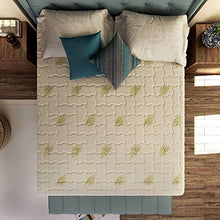 Baldiflex Materasso Matrimoniale Memory Evolution, Antidecubito, Ergonomico, Antiacaro, Traspirante, Rivestimento Sfoderabile Aloe Vera, 160x190x25 cm