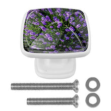 lavanda 4 PCS Pomelli per Porta, Pomolo per Mobile, Pomelli per Mobili con Viti, Maniglia per Armadietto, Pomelli per Porta, Pomelli per Cassetti per Porta, Armadio, Cassetto e Credenza