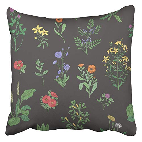 QUEMIN Fodere per Cuscini Decorativi Bellissimi Floreali con Erbe di Prato su Nero Splendidi Fiori Selvatici e Piante erbacee in Fiore, 18 x 18 Pollici
