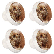 Maniglie per cassetti Manopole per cassetti Manopole rotonde Confezione da 4 per armadietto, cassetti, cassettiere, cassettiere ecc. Cane