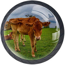 Farm Hayfield Agriculture Grass Pomelli per Porta Set di 4 Pomelli per Mobili Manopole per Cassetti Cucina Armadio Vetro