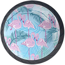 Fenicottero rosa tropicale lascia il verde Pomelli per Porta Set di 4 Pomelli per Mobili Manopole per Cassetti Cucina Armadio Vetro