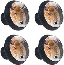 Daino Cervo Femmina Pomelli per Porta Set di 4 Pomelli per Mobili Manopole per Cassetti Cucina Armadio Vetro