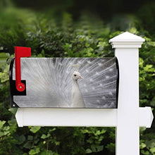 Copre per cassetta delle lettere con piume di pavone, magnetica, grande, per giardino, cortile, decorazione per la casa, dimensioni 64,8 x 53,3 cm