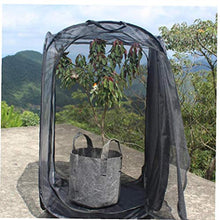 Insect Habitat Gabbia Insetti Caterpillar Casa netto insetto gabbia della maglia del terrario per flusso d'aria Pop Up Kit insetto