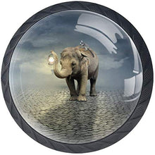 Raccoon and Palm Lamp Pomelli per Porta Set di 4 Pomelli per Mobili Manopole per Cassetti Cucina Armadio Vetro