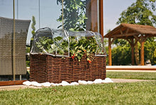 Catral Germania Città Giardino, Giardino d' Inverno di Kit Planter, Trasparente, 104 x 44 x 39 cm, 71080012