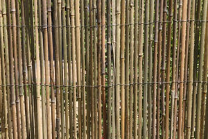 HaGa-Welt.de - Frangivento/frangivista in bambù, dimensioni: 5 x 1,5 m