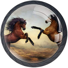 Brown Two Horses Battle Pomelli per Porta Set di 4 Pomelli per Mobili Manopole per Cassetti Cucina Armadio Vetro