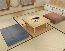 BEIGOO Pieghevole Portatile Materasso,Giapponese Tradizionale Materasso Tatami Memory Foam Singolo Morbida Adatto per Il Campeggio Ospite-A-60x200cm(24x79inch)